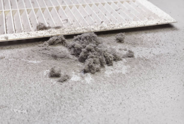 Best Ventilation Cleaning Services  in Byng, OK